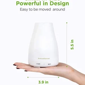 DIFUSOR 250ML INNOGEAR